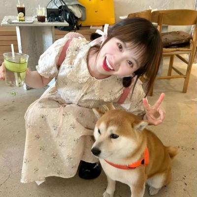 春满夏威夷